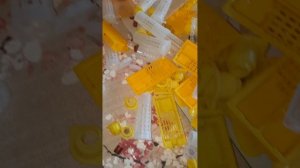 готовимся к матковыводному сезону! Чистим инвентарь для вывода маток. Пчела Карника и Элгон