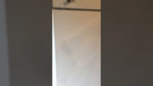 Шкаф морозильный POLAIR CB107-S