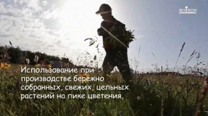 АРНИКА: ПРОИЗВОДСТВО