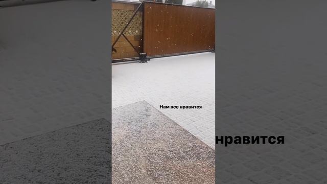 Снег в Севастополе🛼❄️ #энергиидня #погода #крым #севастополь #снег #зима #новыйгод #2024 смотреть онлайн