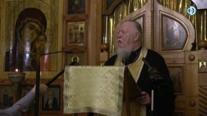 Протоиерей Димитрий Смирнов. Проповедь о Рождественском посте и о плавании по реке жизни