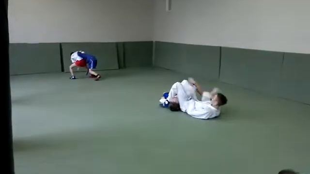 передняя подножка