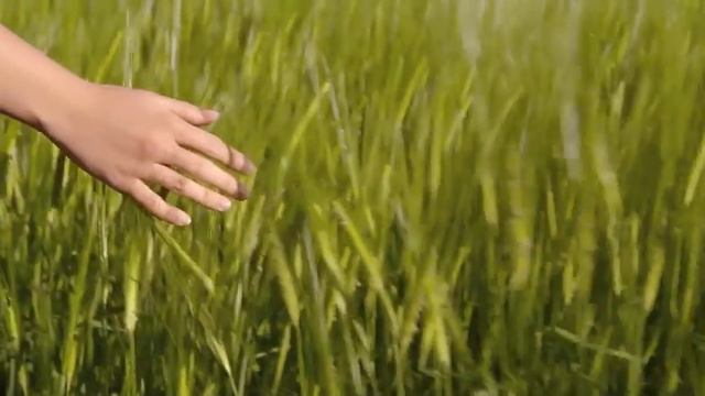 Les Lois de l'Univers - "Message du Grand" de Larisa Seklitova et Ludmila Strelnikova смотреть онлайн