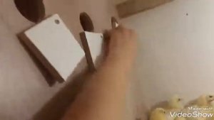 Обзор брудера. Содержание цыплят бройлеров с первых дней жизни.