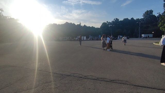 сокольники
