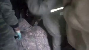 В Норске спасатели вытащили застрявшую лошадь