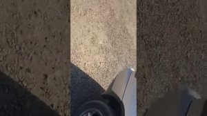 Работа мотора M62B44 4.4 BMW X5 E53