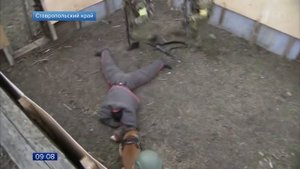 Телефончик предъявите: почему Росгвардия может досмотреть мобильный телефон