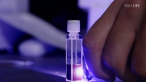 Как физики НГУ помогают медицине и биологии?