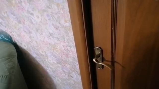 Как вызвать гномика исполняющего желания?/ПРИНЕС IPAD?!?/повторный вызов смотреть онлайн