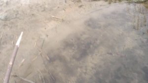Традиционная рыбалка с острогой на речке Дэркуль