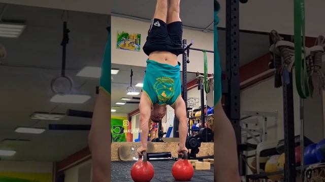 Handstand on kettlebells ??