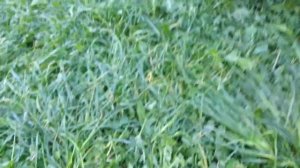 Замена стекла в двери  своими руками Volkswagen Т4