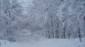 Чайф - Клён ты мой опавший