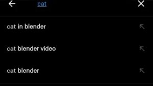 cat in blender video l cat video l twitter cat in blender l cat in a blender video
