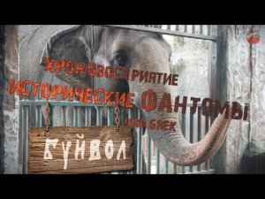 312,Хроновосприятие исторические фантомы,IGOR GREK