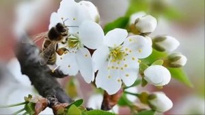 Ты моя ошибка! Красивая песня о любви!