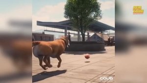 HFM COUB BEST CUBE Best Coub Приколы 2021 лучшие приколы 2021 best coub cube лучшее(2)