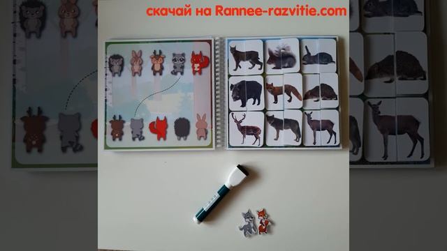 Развивающая книжка "Лесные животные" смотреть онлайн