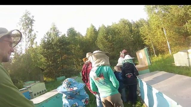 Пчеловодство для детей.