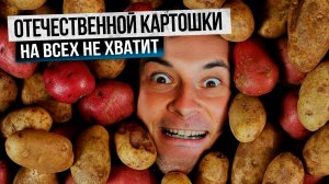 Российский картофель станет дефицитом: что кроется за новыми страшилками аграриев