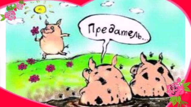 Смешные картинки смотреть онлайн