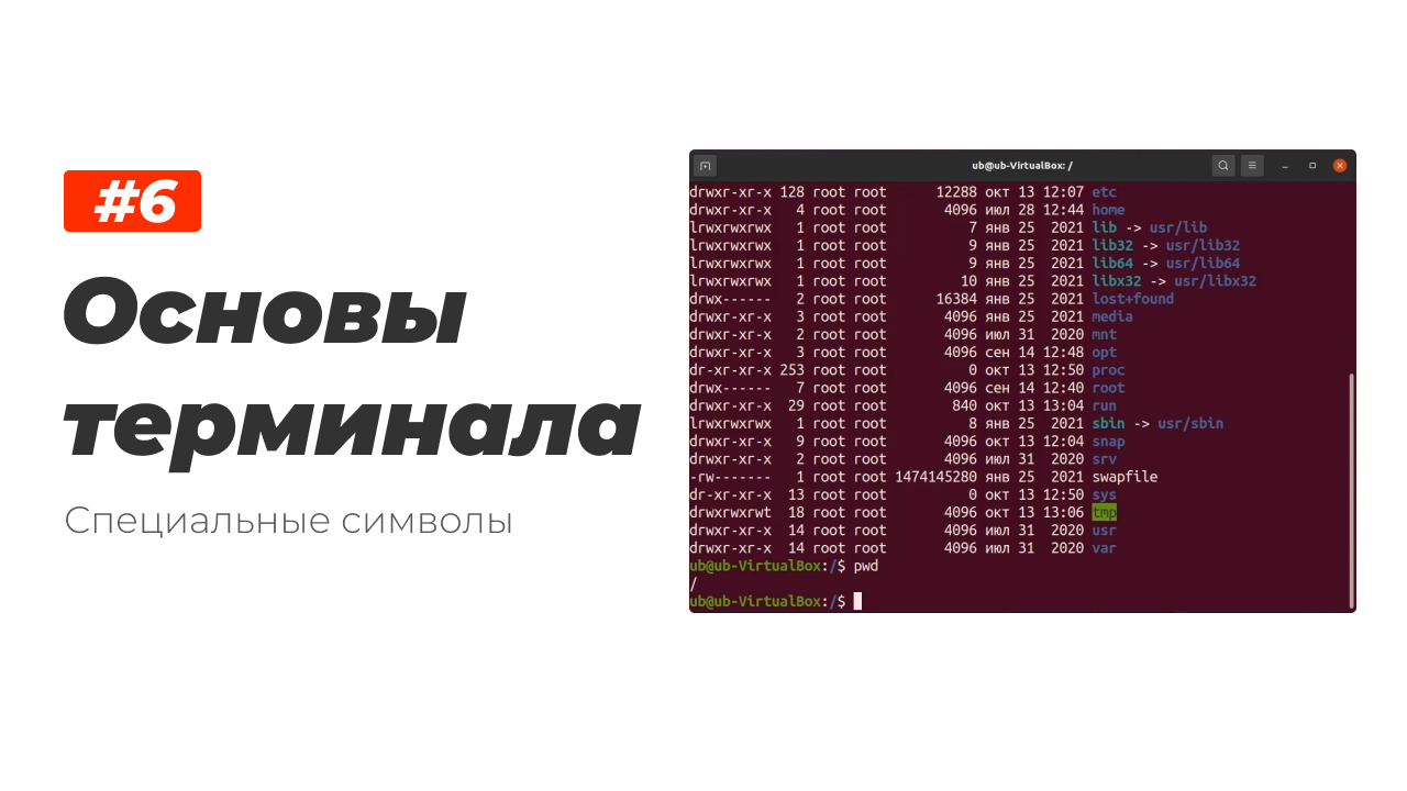 6. Основы терминала Linux. Специальные символы