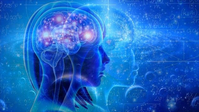 Высшее образование Пятого измерения