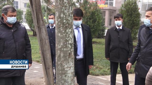 Кампания по озеленению в Душанбе смотреть онлайн
