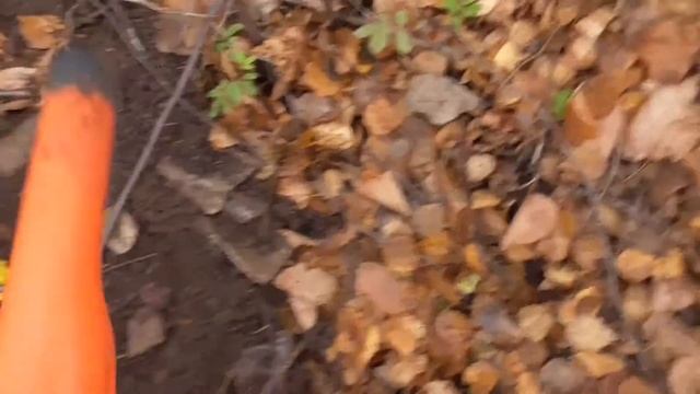 на мусорке с Golden Mask 6 смотреть онлайн