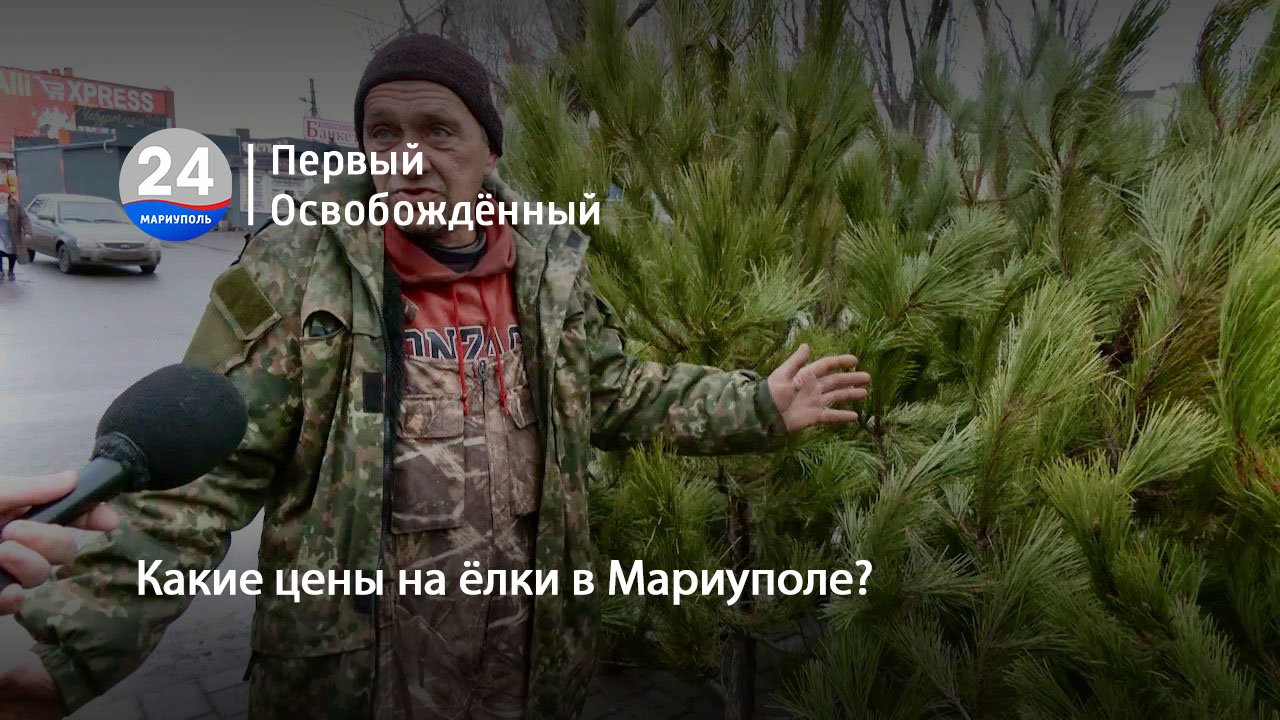Какие цены на ёлки в Мариуполе? 22.12.2023