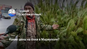 Какие цены на ёлки в Мариуполе? 22.12.2023