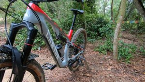 2021 Canyon Neuron CF 8 | Bike Check