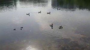 Западная Сибирь!