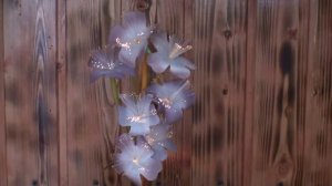 Цветодинамический букет Фантазия. Интерьерный светильник СССР