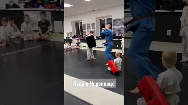 Кудо в "Ортодоксе", #Череповец Октябрьский пр. 83а #kudo #кудо #karate #кикбоксинг #kickboxing