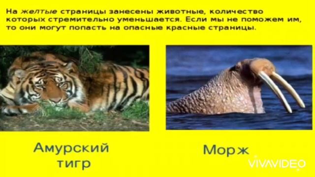 Урок 5 - Путешествие по страницам Красной книги смотреть онлайн