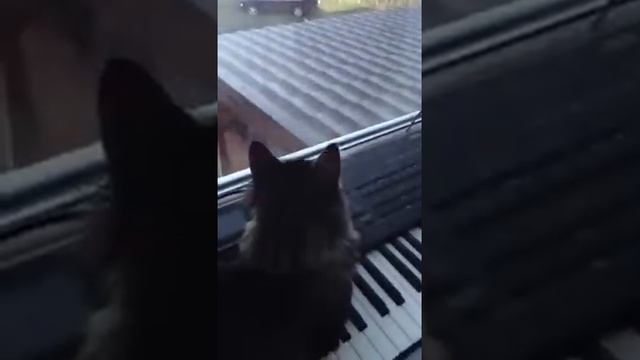 Когти электрика смотреть онлайн