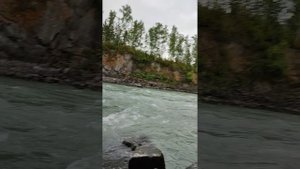 Сплав на сапборде по Катуни.