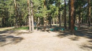 Санаторий " Сосновый бор": отдых заканчивается, квест в лесу