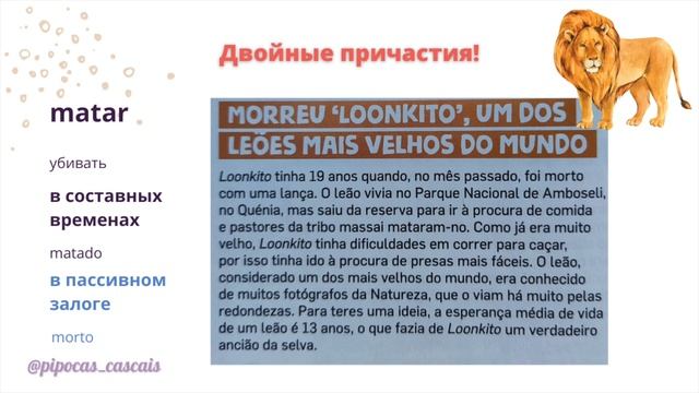 Урок 33. Курс португальского. Пассивный залог смотреть онлайн