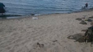 Кубок Еремейцево по ловле донной удочкой