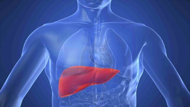 ЧЕЛОВЕК. 10 ИНТЕРЕСНЫХ ФАКТОВ смотреть онлайн