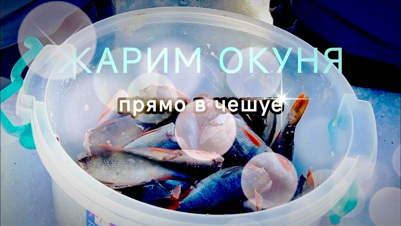 МЕГА РЕЦЕПТ! Жарим окуня прямо в чешуе! смотреть онлайн