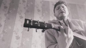 Пушной - парикмахер (cover на гитаре)