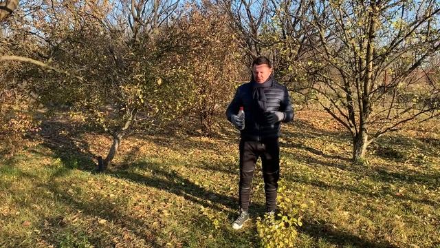 Как выбрать место для посадки плодового дерева смотреть онлайн