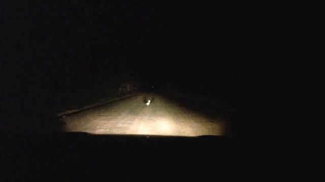 Бешеный лис смотреть онлайн