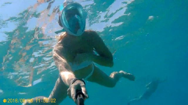 Море, плаваю с рыбками! Волшебно! смотреть онлайн