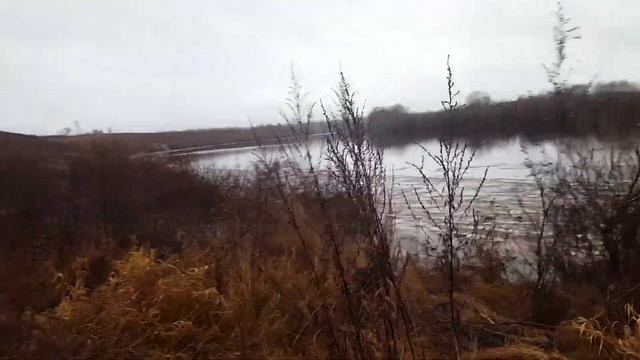 Окрестности деревни Ляховичи Часть 3 смотреть онлайн