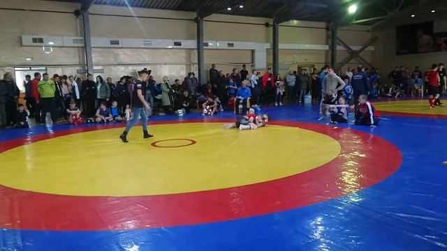 Чемпионат Читы по ММА смотреть онлайн